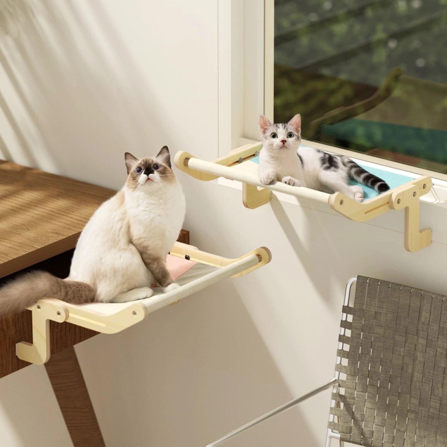 Pet Cat Window Perch 4 Color Wooden Assembly Hanging Bed Cotton Canvas - Xmaker