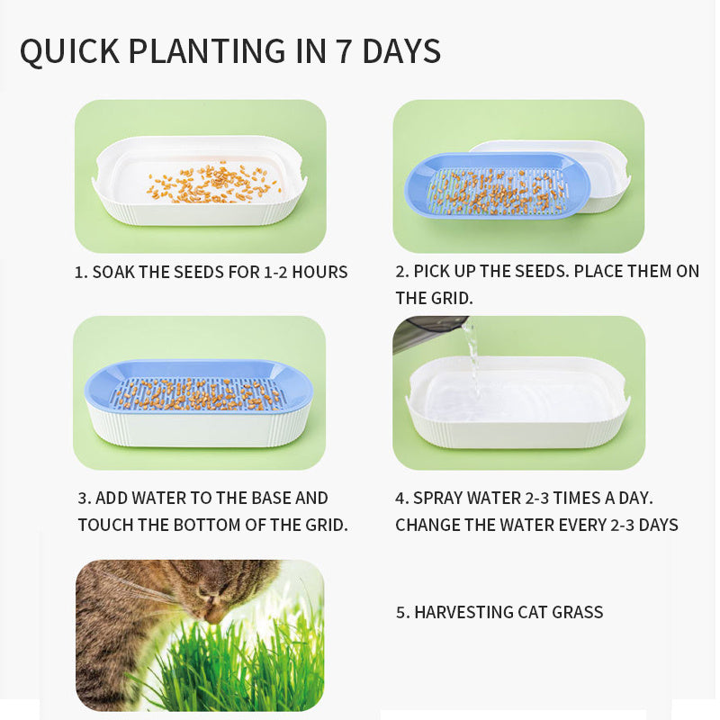 Hydroponic Cat Grass Box Plastic Tray Cat Grass Growing Kit Cat Grass Planter Hydroponic Cat Grass Box Cat Grass Sprouter Tray Interactive Cat Toy Window Planter Soilless For Pet Cat Plastic Plant Pot - Xmaker