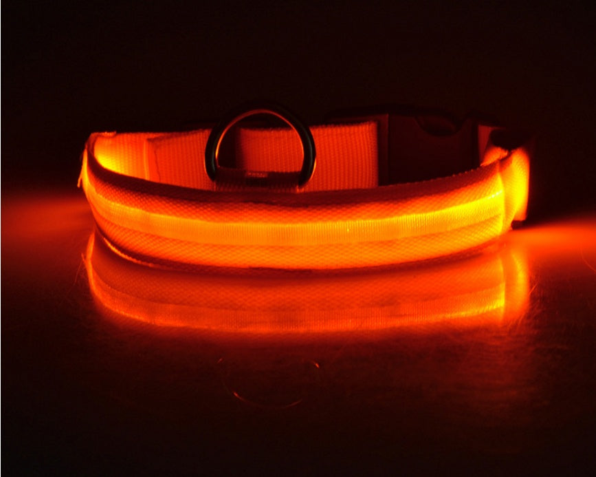 Nylon LED Pet Dog Luminous Collar Night Safety Flashing Glow in Dark Dog Cat Leash Adjustable Pet Supplies - Xmaker