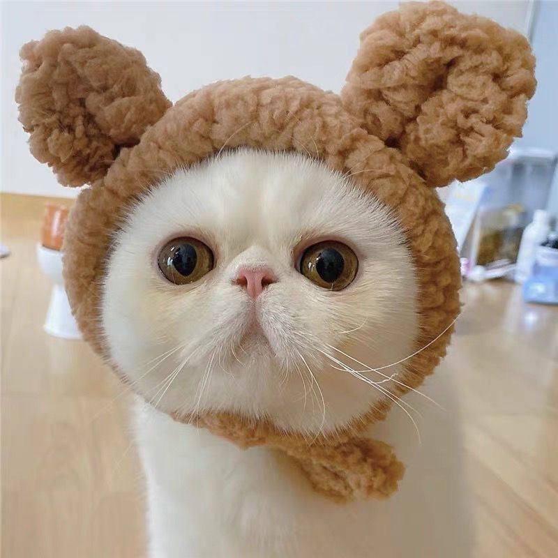 Pet Hat Bear Plush Hood Photo Headwear Dress Up Accessories - Xmaker