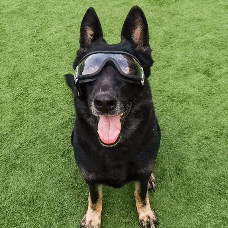 Large dog-ink sunglasses - Xmaker