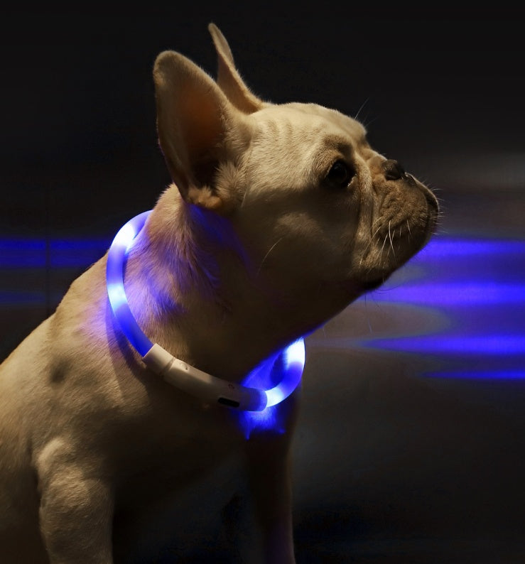 Pet Light Collar Anti-Lost Collar for Dogs Pet Collars - Xmaker