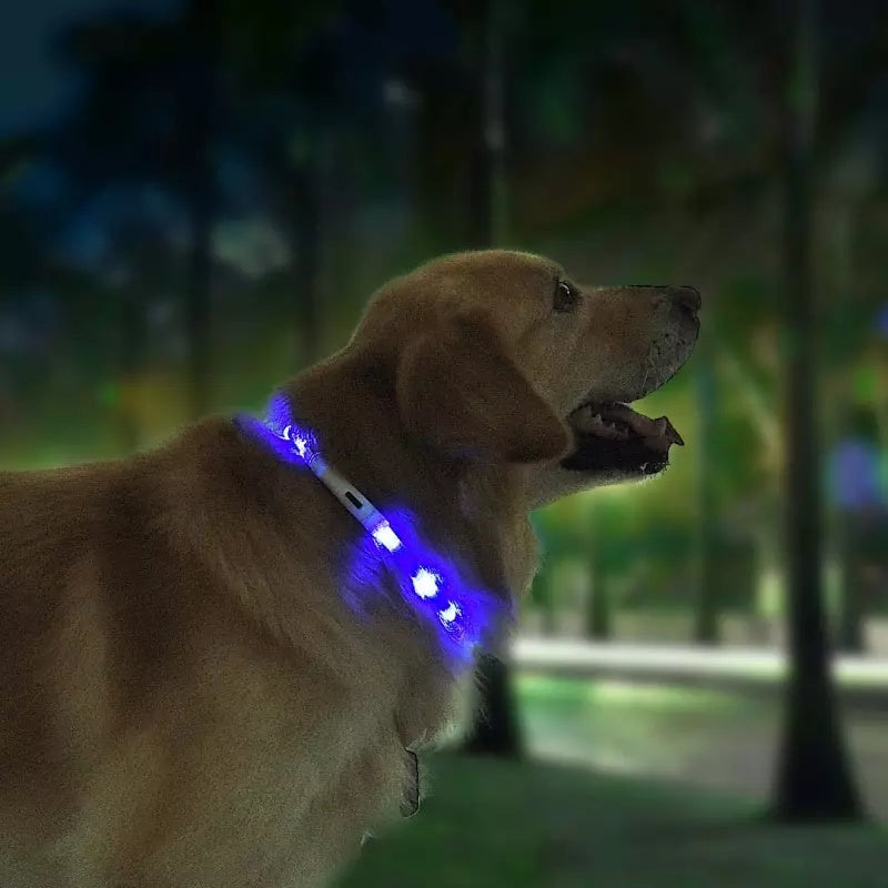 Pet Light Collar Anti-Lost Collar for Dogs Pet Collars - Xmaker