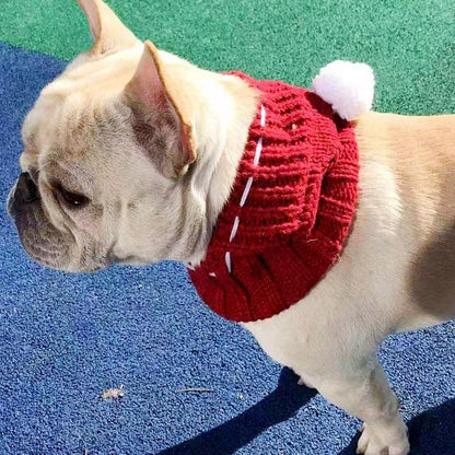 Funny woolen hat for pets to keep warm in winter - Xmaker