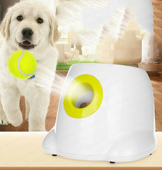 Dog Pet Automatic Interactive Ball Launcher - Xmaker