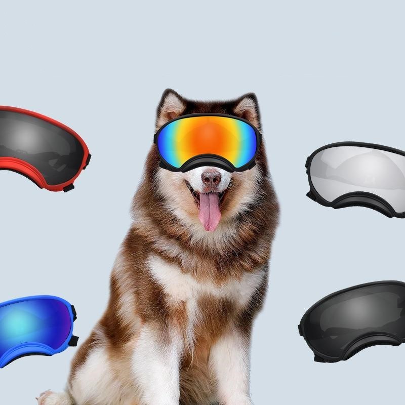 Ski Sunglasses For Large And Medium-sized Pet Dogs - Xmaker