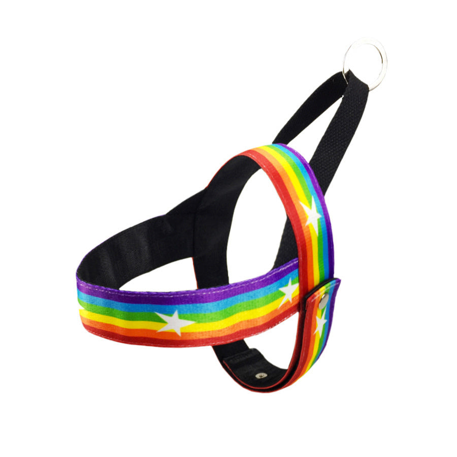 Rainbow cool dog chain dog leash - Xmaker