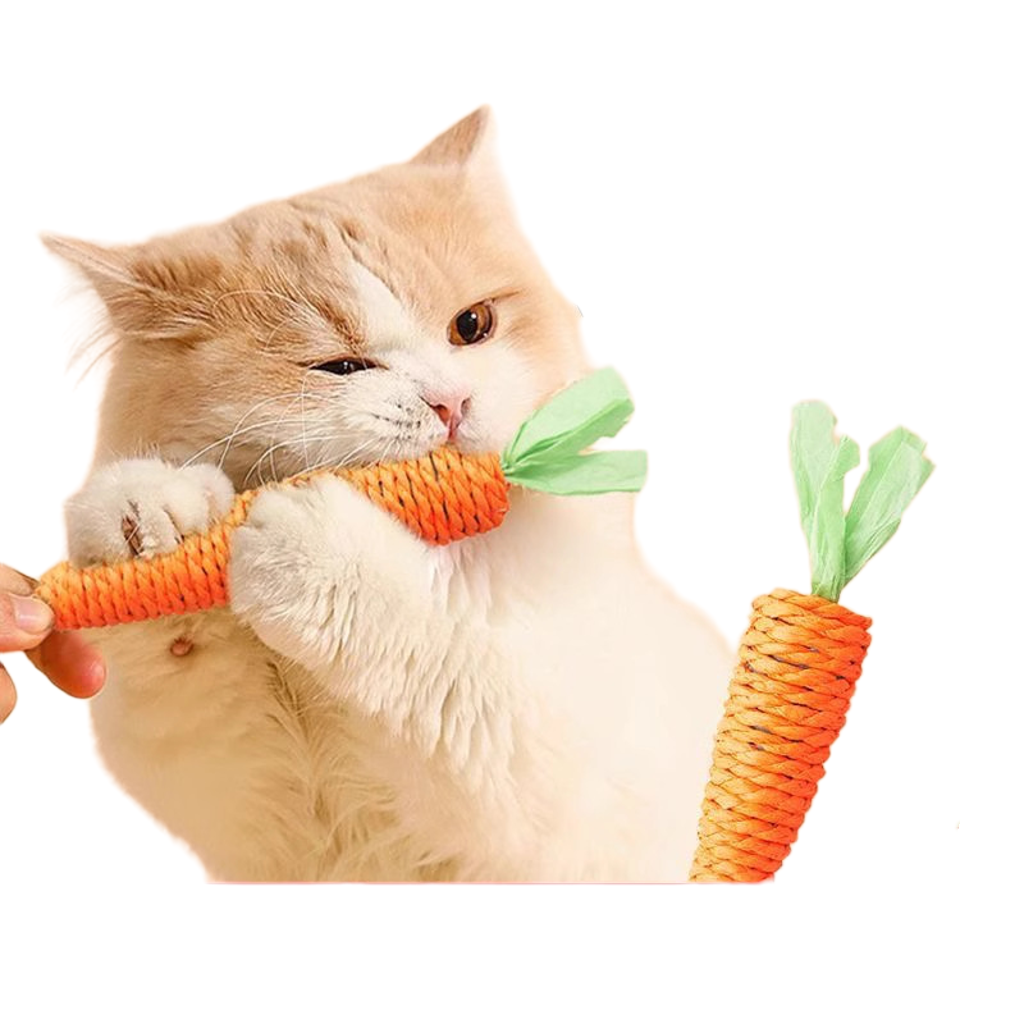 Pet Cat toy Self-Play Carrot Sticks Paper Rope Sounding Carrot - Xmaker