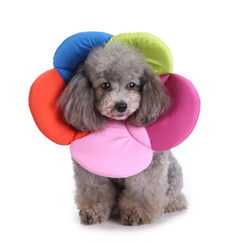 Pet Protection Collar Flower Pet Grooming Kits Dog Bite Ring Birth Control - Xmaker