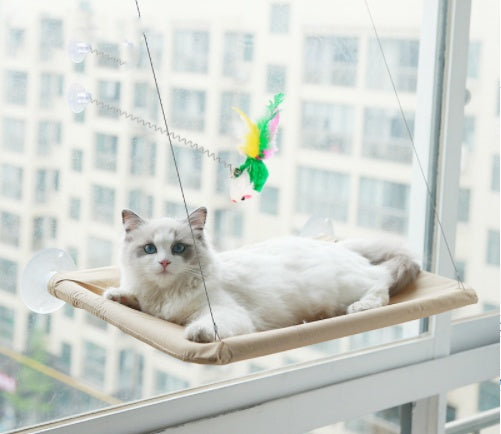 Suction Cup Hanging Bed For Summer Sunbathing Swing Cat Supplies - Xmaker