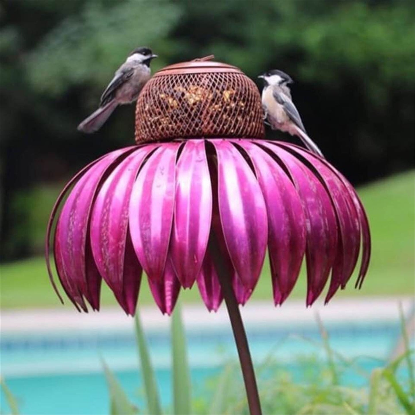 Garden Petal Shape Bird Feeder - Xmaker