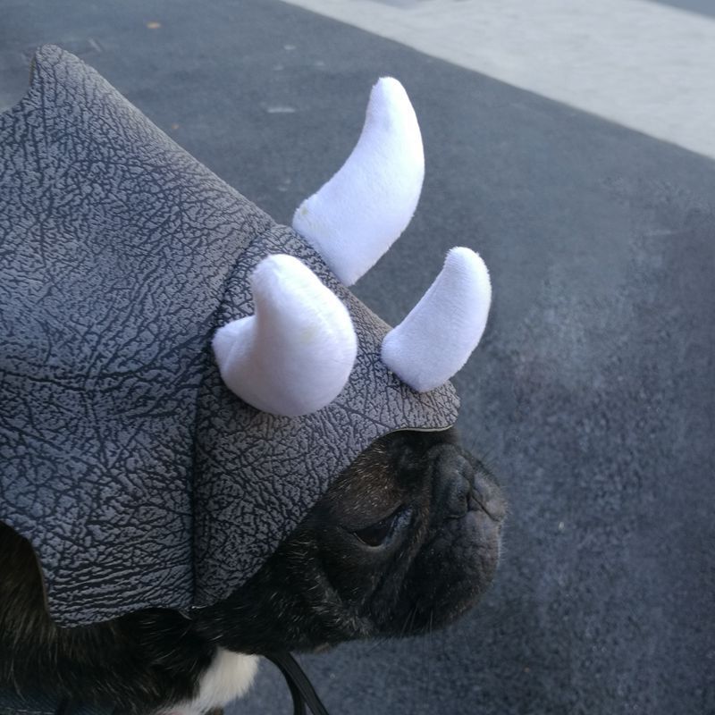 Pet Triceratops Dog Dinosaur Hat Pet Cat Dog Hat Pet Transformation Cap Pet Headgear Costume - Xmaker