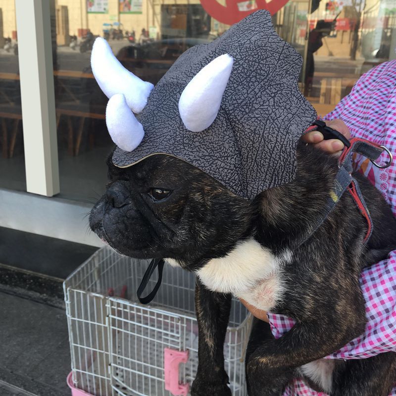 Pet Triceratops Dog Dinosaur Hat Pet Cat Dog Hat Pet Transformation Cap Pet Headgear Costume - Xmaker