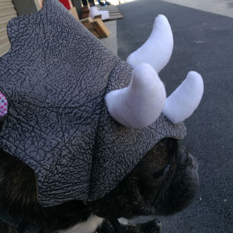 Pet Triceratops Dog Dinosaur Hat Pet Cat Dog Hat Pet Transformation Cap Pet Headgear Costume - Xmaker