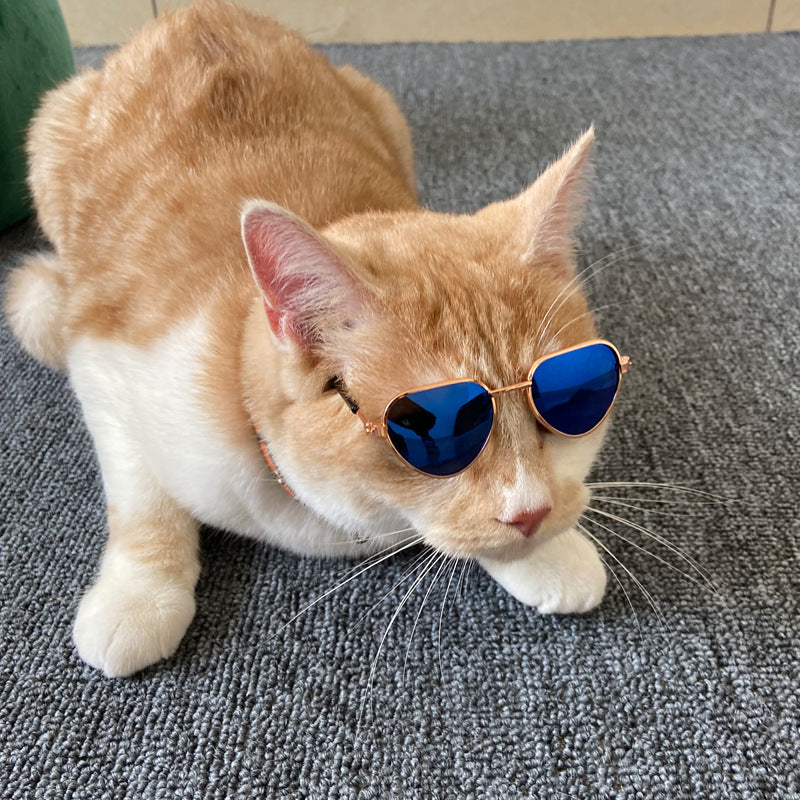 Creative Mini Pet Cat Sunglasses - Xmaker