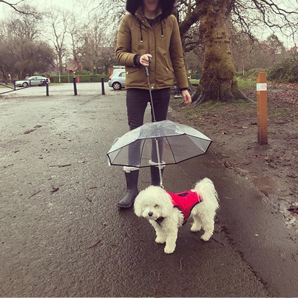 Transparent Pet Umbrella Dog Umbrella Pet Products - Xmaker