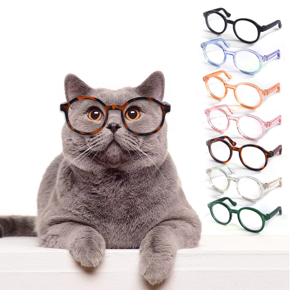 Plastic Transparent Cat Glasses - Xmaker