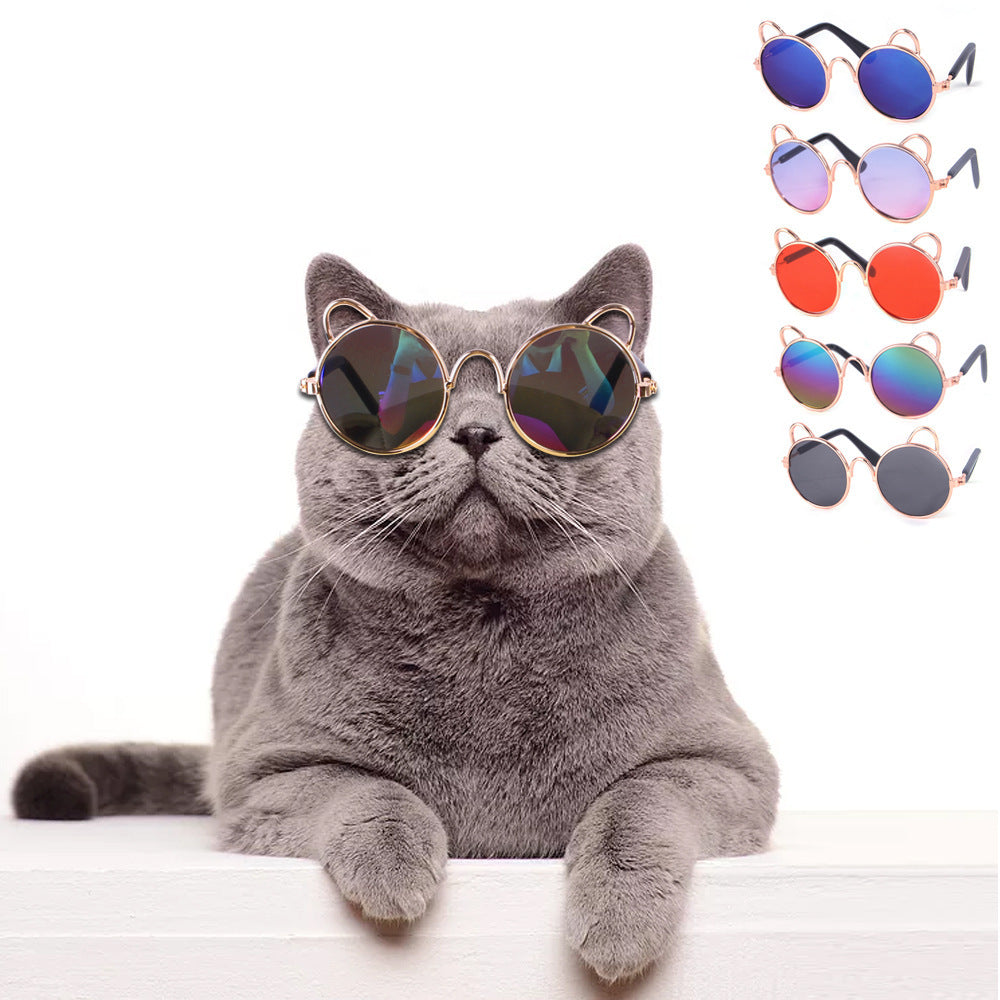 Cat Cute Sunglasses Dog Teddy Sunglasses - Xmaker