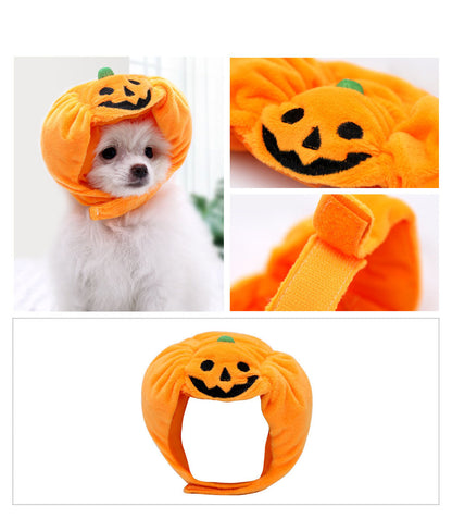 Halloween Pet Cat Dog Pumpkin Hat - Xmaker