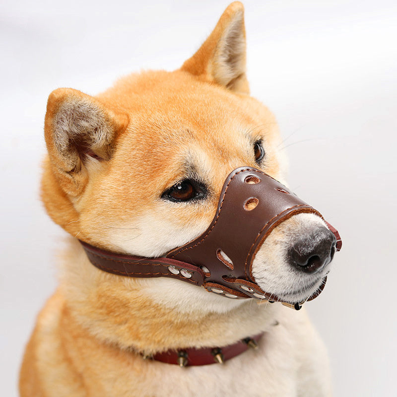 Dog Muzzle Silencer Anti-barking Bite Prevention Feeding Disorder Small Medium Large Dog Mouth Cover Teddy Golden Retriever - Xmaker