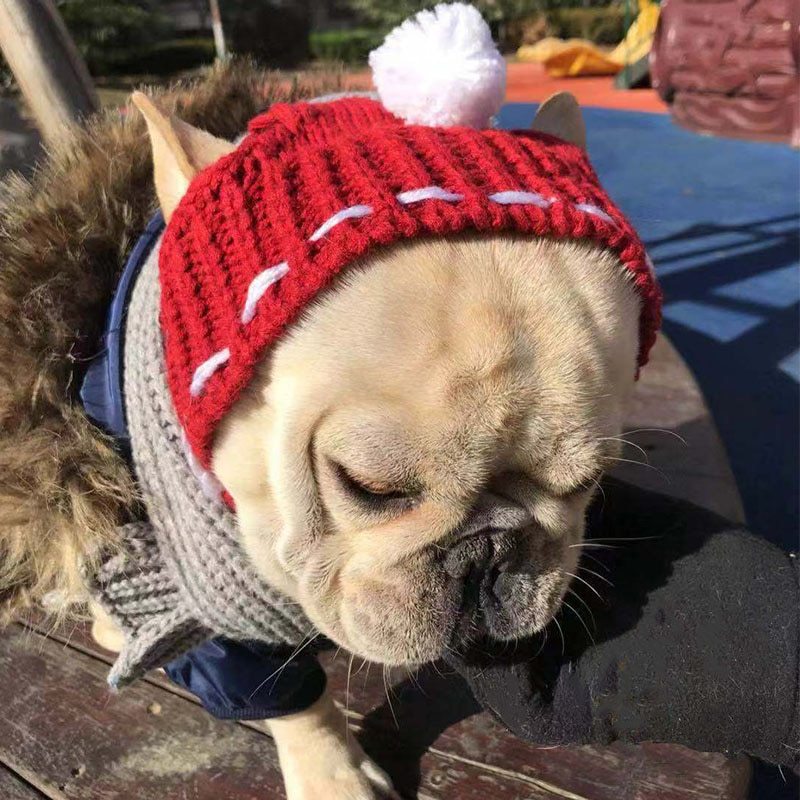 Funny woolen hat for pets to keep warm in winter - Xmaker