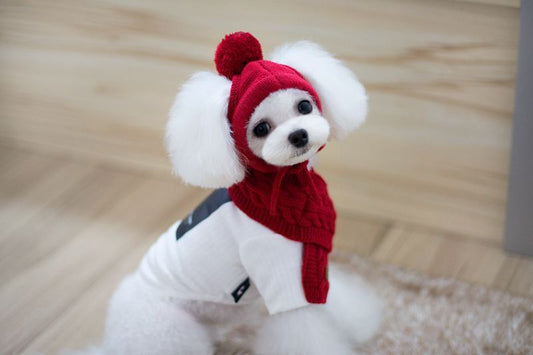 Pet wool scarf hat pet - Xmaker