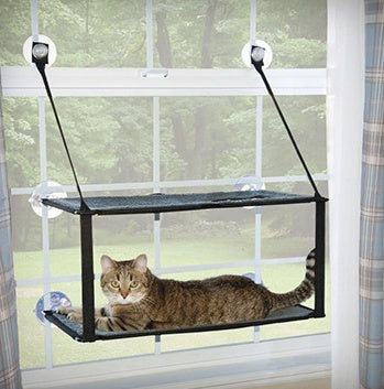 cat hammock removable and washable super suction cup cat pad window sill cat litter - Xmaker