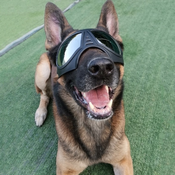 Dog Glasses Waterproof Snow-Proof Pet Goggles Soft Frame Comfortable Sunglasses For German Shepherd Dog - Xmaker