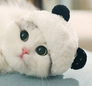 Panda costume pet hat - Xmaker