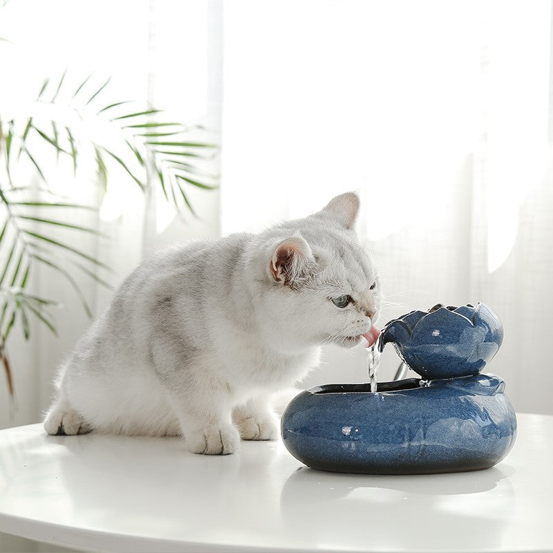 Cat feeder water feeder - Xmaker