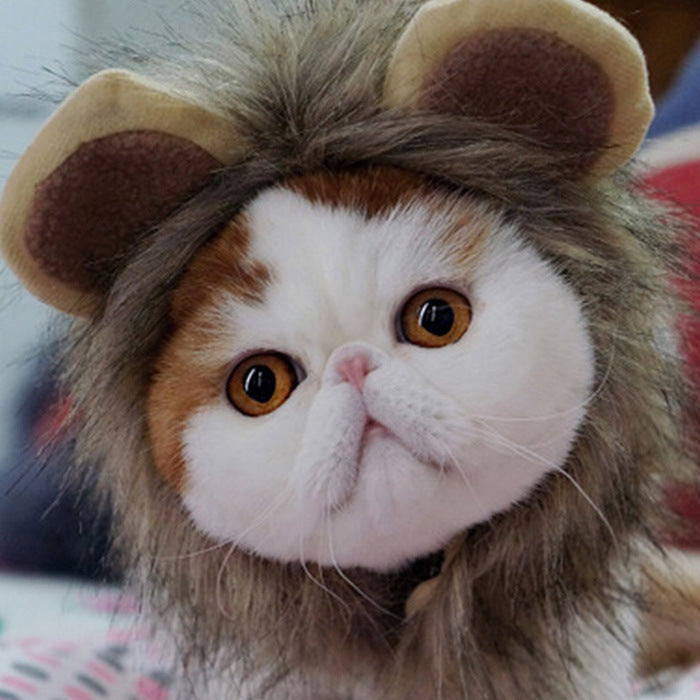 Lion headgear cat hat cute transformation decoration - Xmaker