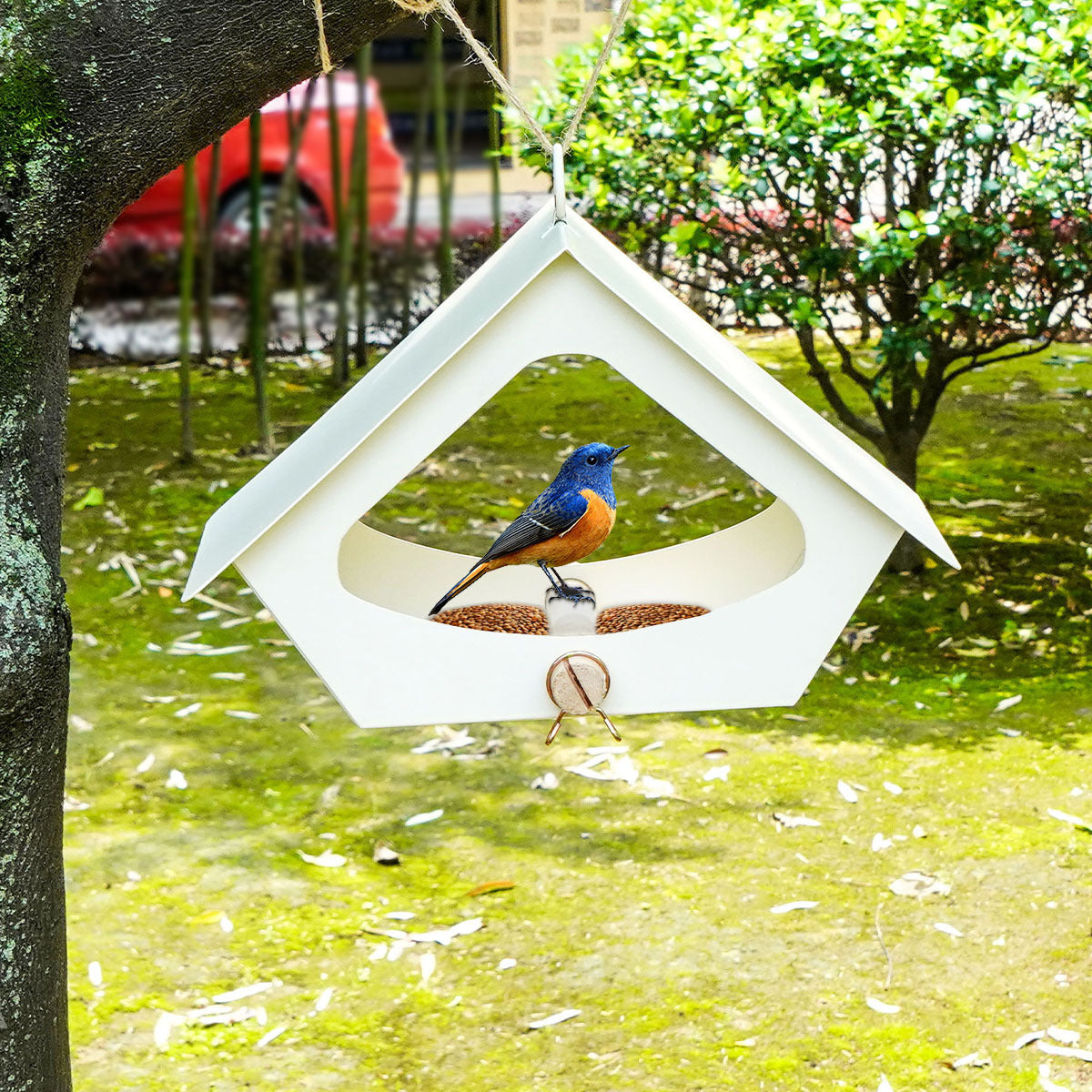 European-style Simple Iron Bird Food Anti-rain Outdoor Courtyard Decoration Bird Nest - Xmaker