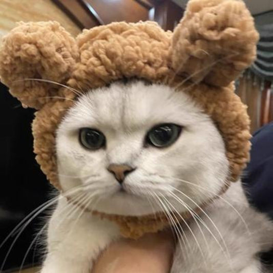 Pet Hat Bear Plush Hood Photo Headwear Dress Up Accessories - Xmaker