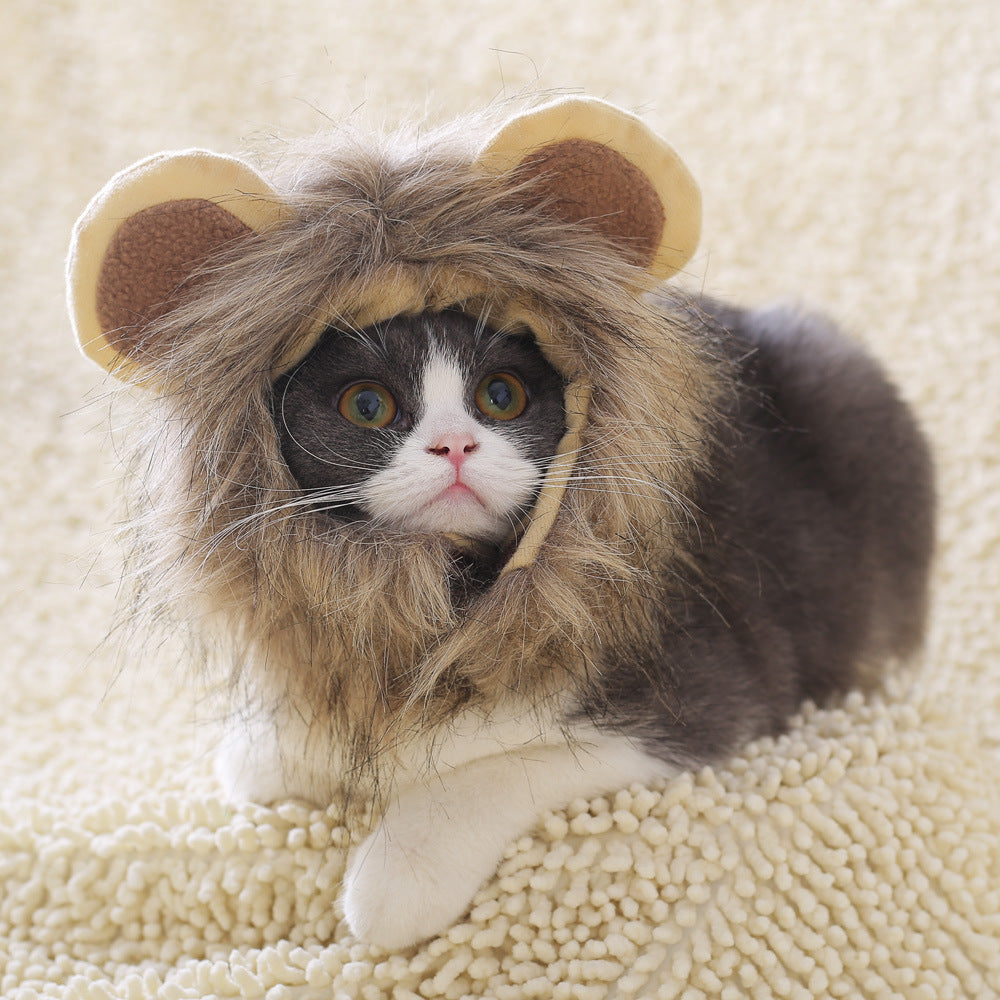 Lion headgear cat hat cute transformation decoration - Xmaker