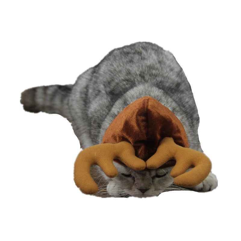 Teddy Dog Cat Antlers - Xmaker