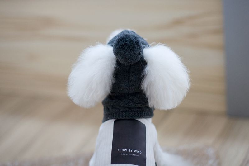 Pet wool scarf hat pet - Xmaker