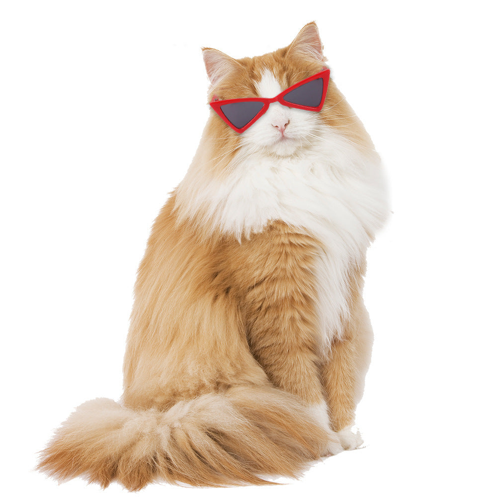 Funny Color Glasses Accessories For Dogs And Cats - Xmaker