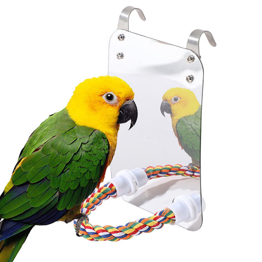 Parrot Toy Acrylic Bird With Mirror - Xmaker