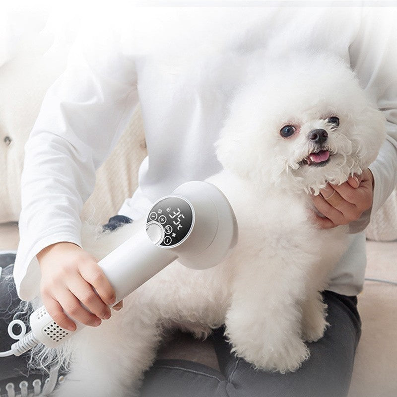 Smart Pet Hair Dryer Dog Golden Retriever Cat Grooming Hairdressing Blow & Comb Silent No Harm Pet Cleaning Supplies Pet Products - Xmaker