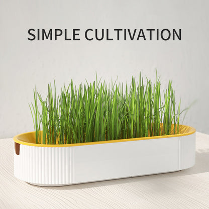 Hydroponic Cat Grass Box Plastic Tray Cat Grass Growing Kit Cat Grass Planter Hydroponic Cat Grass Box Cat Grass Sprouter Tray Interactive Cat Toy Window Planter Soilless For Pet Cat Plastic Plant Pot - Xmaker