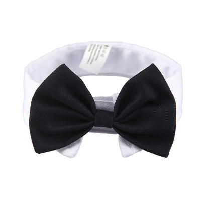 Dog Bow Tie British Handsome Black - Xmaker