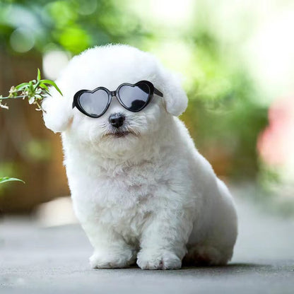 Doll Sunglasses Pet Toy Accessories - Xmaker