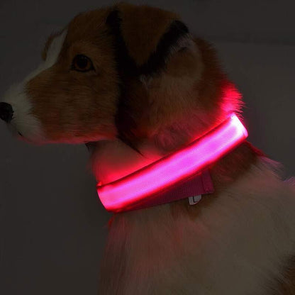 Nylon LED Pet Dog Luminous Collar Night Safety Flashing Glow in Dark Dog Cat Leash Adjustable Pet Supplies - Xmaker