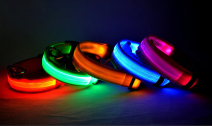 Nylon LED Pet Dog Luminous Collar Night Safety Flashing Glow in Dark Dog Cat Leash Adjustable Pet Supplies - Xmaker