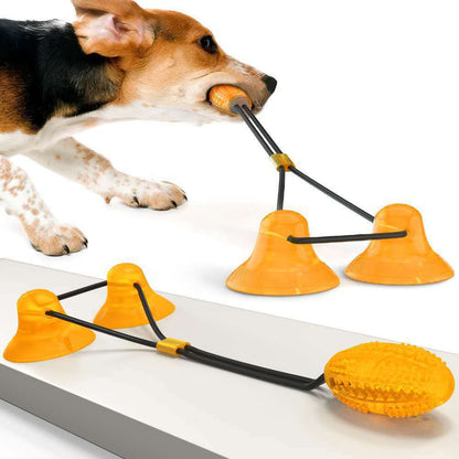 Suction Cup Pets Toys - Xmaker