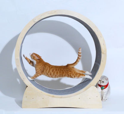 Special Toys For Cat Treadmill Roller - Xmaker