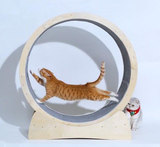 Special Toys For Cat Treadmill Roller - Xmaker