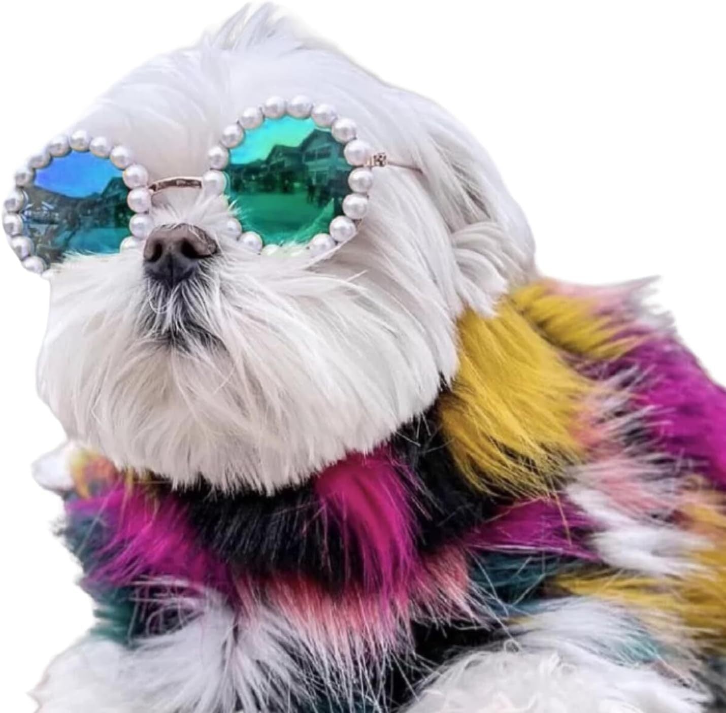 Cat And Dog Pearl Sunglasses - Pet Extravagant Funny Cute Dress Up Costume Accessories For Party - Xmaker