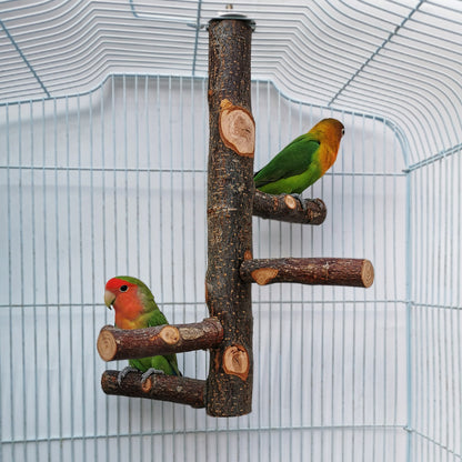 Parrot Bird Wood Stand Pole Toy - Xmaker