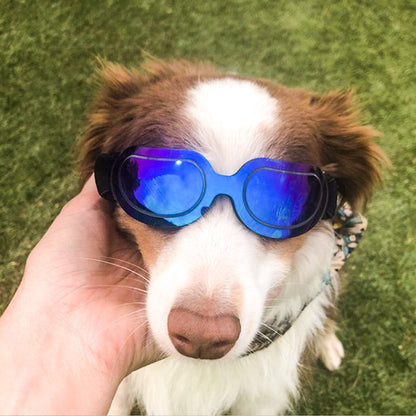 Pet supplies colorful dog glasses sunglasses Amazon cat sunglasses - Xmaker